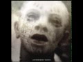 Pain of Salvation - Kingdom of Loss 