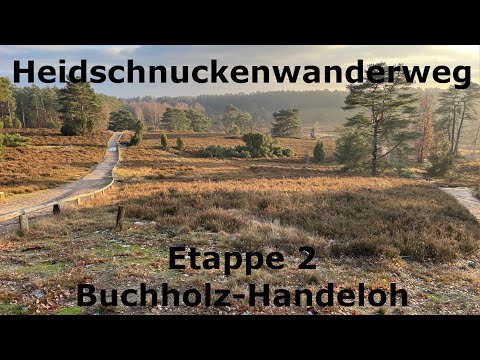 Heidschnuckenweg - Etappe 2 - Buchholz bis Handeloh - Wandern im Norden