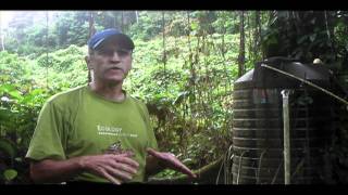 ArtificialStreamExperiments