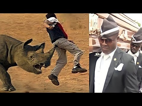 Animals Attacks Compilation ( Scary Coffin Dance) Astronomia Dance, Part 1