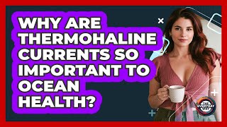 Why Are Thermohaline Currents So Important To Ocean Health? - The Everyday Why