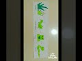 Food Chain Diagram Environmental Science