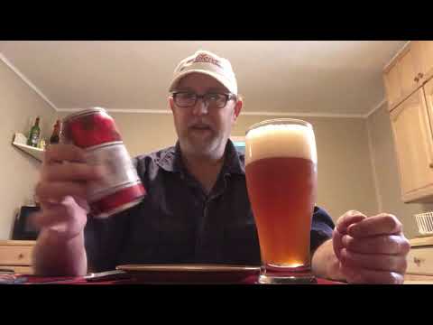 Pale Ryder American Rye Pale Ale 6.2%abv # The Beer Review Guy