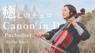 Download lagu 【パッヘルベルのカノン】チェロ二重奏で癒しのひととき |Pachelbel –Canon in D| CelloDuet |山岸亜友美|癒し mp3 Download lagu 【パッヘルベルのカノン】チェロ二重奏で癒しのひととき |Pachelbel –Canon in D| CelloDuet |山岸亜友美|癒し mp3