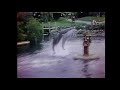 Sesame Street Three Jumping Dolphins HQ