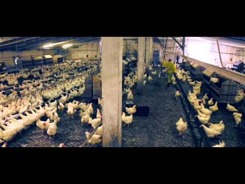 Honn Kong feat. Bobi Vaklinov - Първо на първо [Official HD Video]