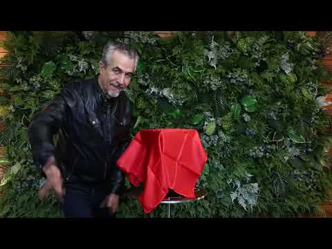 Wooden Disappearing Dice by www.toramagicshop.com