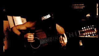 Silent Voice - SHAMAN'S HARVEST acoustic cover (Kenny - MM)