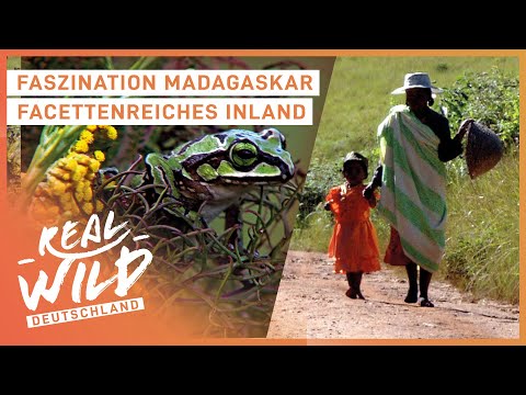 Madagaskar: So wunderschön ist die Insel! | Faszinierende Orte | Real Wild Deutschland