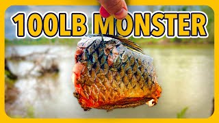 The Battle of a Lifetime! Most People Would Have Lost This Fish