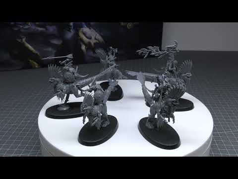 Raptadon Hunters - Seraphon - Review (AoS)