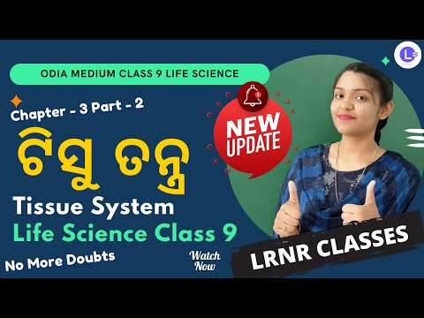 Tissue Tantra Class 9 Life Science Chapter 3 Part-2 | Tissue System ଟିସୁ ତନ୍ତ୍ର