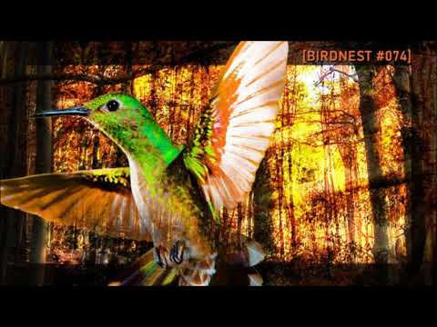 BIRDNEST # 074 | Progressive Deep House 2021 | Podcast by The Lahar
