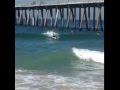 Tre Coe Surf Skate