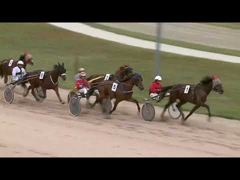 2023.09.23. 4. Futam - SZERÉNA HENDIKEP Autóstart!