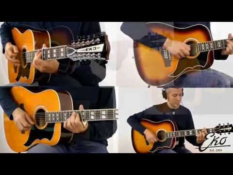Massimo Varini Plays Hotel California (Eagles) with Eko Guitars RANGER VR