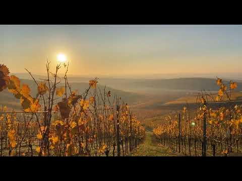 Ansichten - Aussichten - Zuversichten, Teil I: Macht hoch die Tür