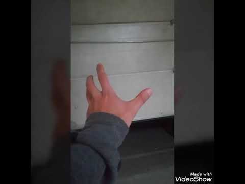 Siemanko Bejbo ! #1 (pozdrów fanów)