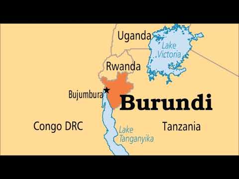 Burundian-French - Joli Calao / Pretty Hornbill