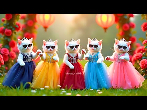 बिल्ली डांस | Cutest Cat videos funny dance🤣💃Videos for cats #funny #dancingcat #cat @Meow_cat99