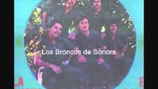 Baila que Baila - Los Broncos de Sonora