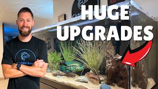 Massive Fish Room Updates! 3 New Aquascapes, New Tank Setup & Big Improvements