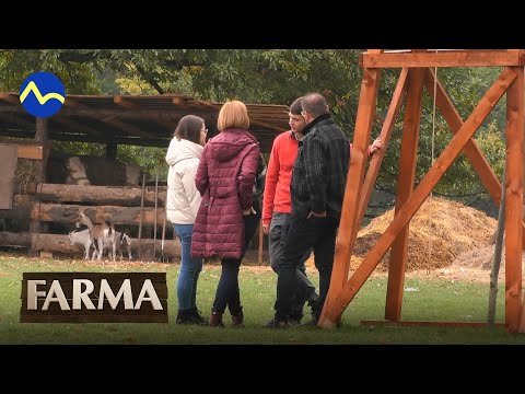 Tamás zostal nepríjemne zaskočený - FARMA