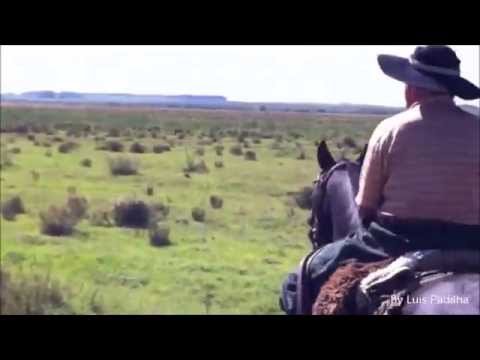 Cancioneiro das coxilhas video
