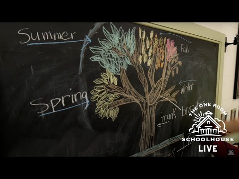 10/16/2020 - Fall Deciduous Tree Lesson - The One Room Schoolhouse LIVE