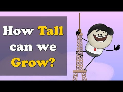 How Tall can we Grow? | #aumsum