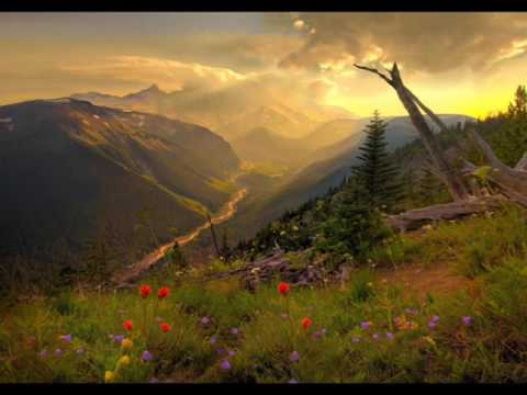 Robert Haig Coxon - The Light