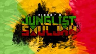 Classic Old Skool 1994 - 2014 Jungle / Drum & Bass Mix (Mickey B)