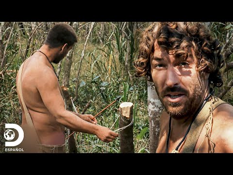 Preparando carnada para un caimán | Supervivencia al desnudo: edición extrema |Discovery en Español
