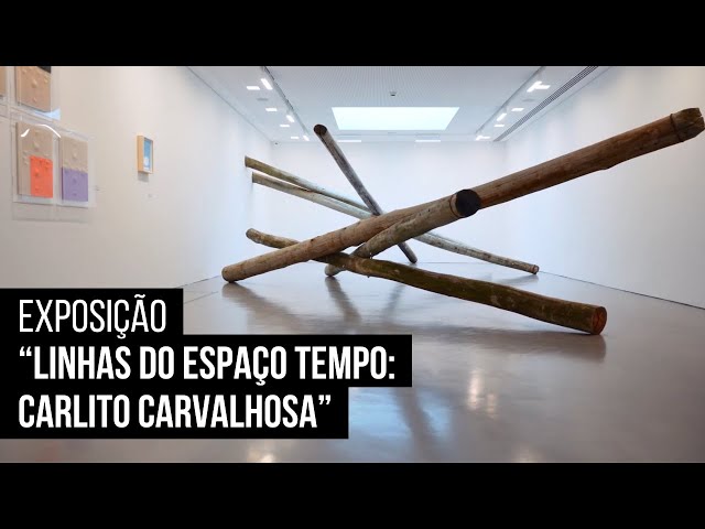 Linhas do Espaço Tempo: Carlito Carvalhosa