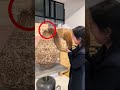 This Girl Ruined a Sculpture