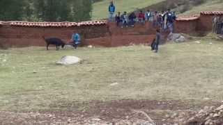 preview picture of video 'corrida de toros de huacahi'