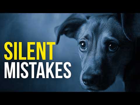 Your Dog Hates These 6 Everyday Mistakes 💔
