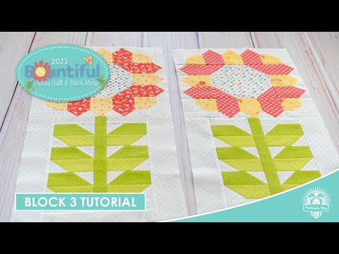 LIVE: Bountiful Charity Quilt Along Block 3 Tutorial! - Bountiful Charity QAL