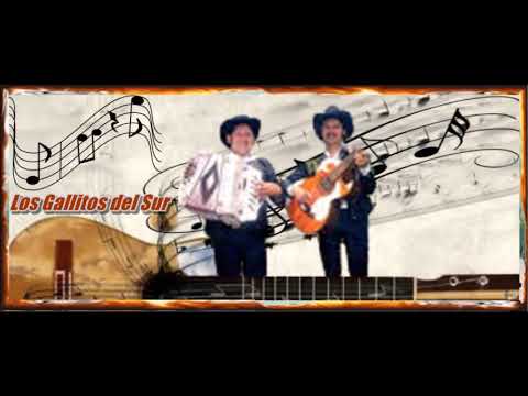 Los Gallitos del Sur - San Salvador Patlanoaya