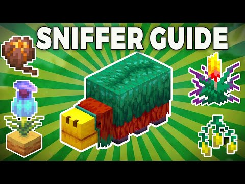 Ultimate Minecraft 1.20 Sniffer Guide - Eggs, Snifflet Torchflower & Pitcher Pod Farm