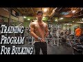 How To Train For Mass When Bulking | Full Arm Workout Commentary |