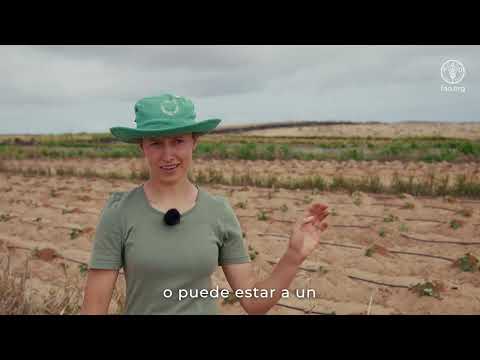 Volcán y memoria en Lanzarote: un sistema agrícola de patrimonio mundial