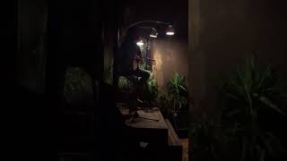 Joey Farber - Surrender / Precious To Me (Tom Petty , Phil Seymour)