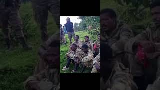 Download lagu ✍️Waraana seeraa Naamusaa waraana Addunyaa hordofu WBOn haa waaru haa jiraatu!Gorsa waraana pp booji mp3