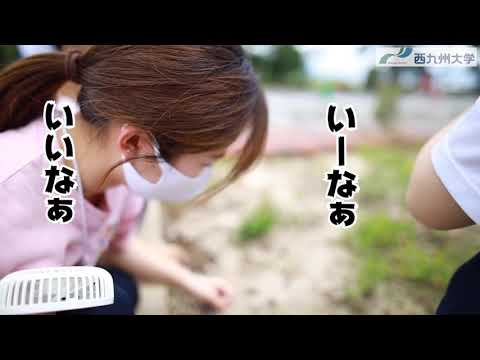 【リハビリテーション学科】 園芸療法