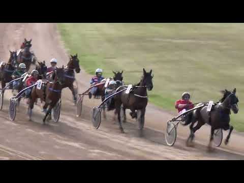 202.206.05. 08. futam - BUTTERFLY DÍJ