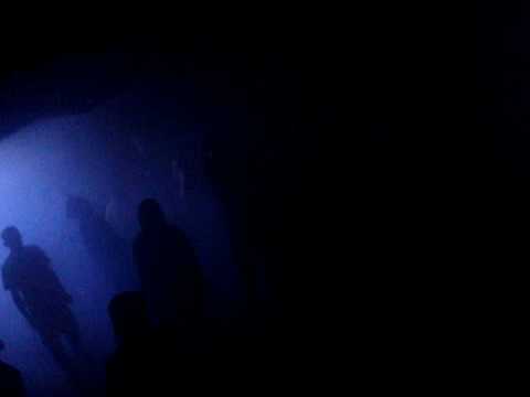 081108 - Griggmorecore - 02:18