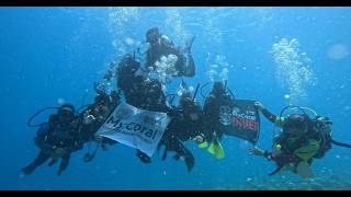 Throwback MSU MyCoral 8.0