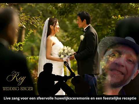 Roy in het Veld (The Wedding Singer)