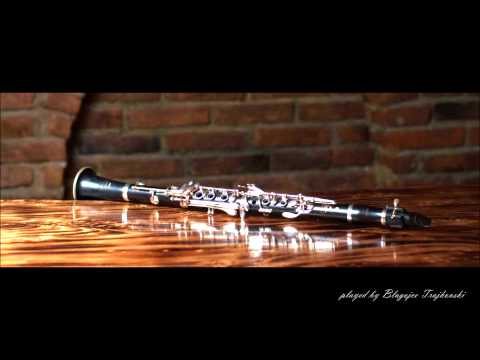 Blagojce Trajkovski - The greatest clarinet solo ever!! //live//
